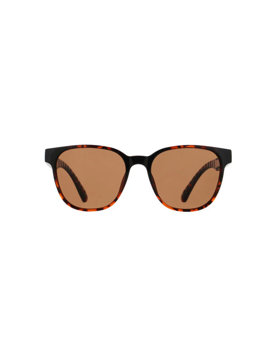 Spect EMERY-004P