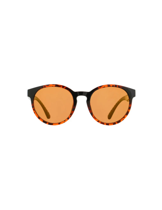 Spect EVER-004P