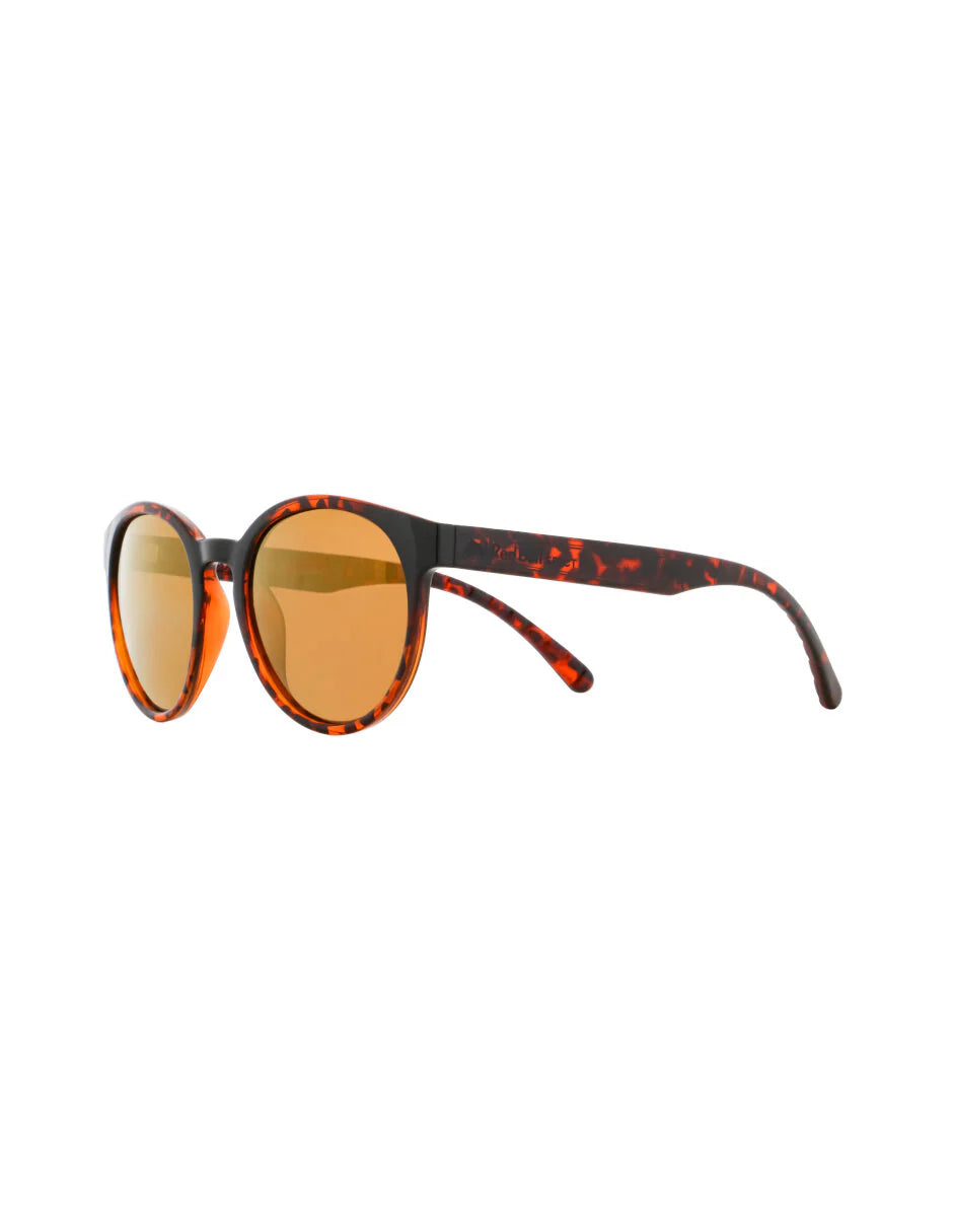 Spect EVER-004P